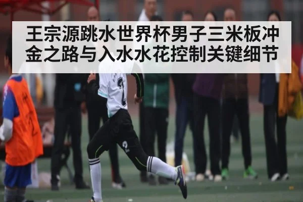王宗源跳水世界杯男子三米板冲金之路与入水水花控制关键细节